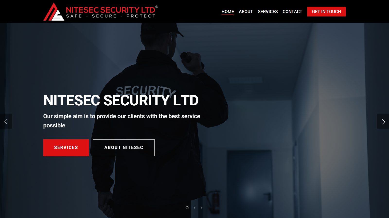 NiteSec Security. website screenshot