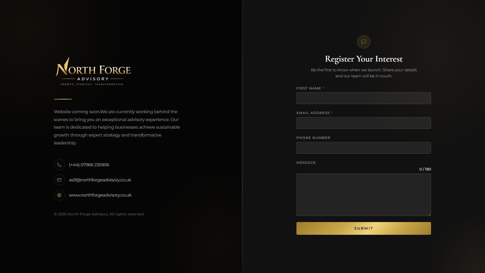 North Forge Advisory. website screenshot